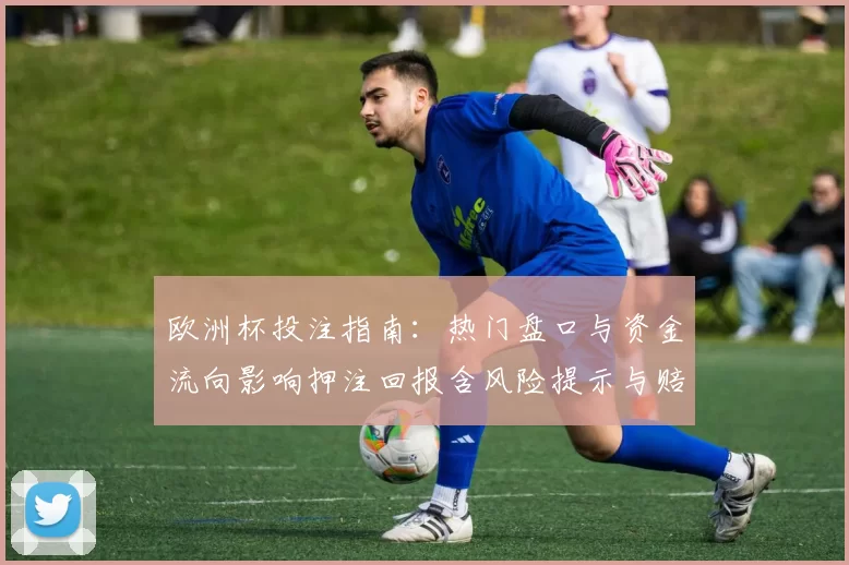 欧洲杯投注指南：热门盘口与资金流向影响押注回报含风险提示与赔率解析