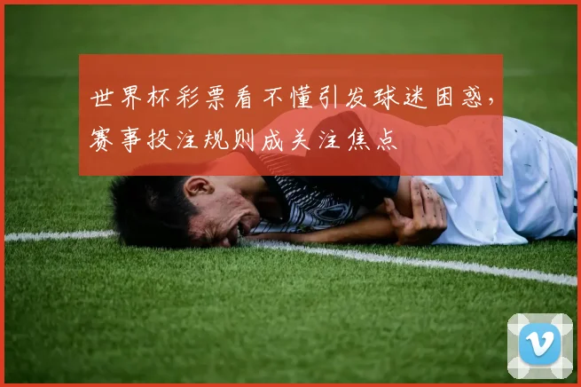 世界杯彩票看不懂引发球迷困惑,赛事投注规则成关注焦点