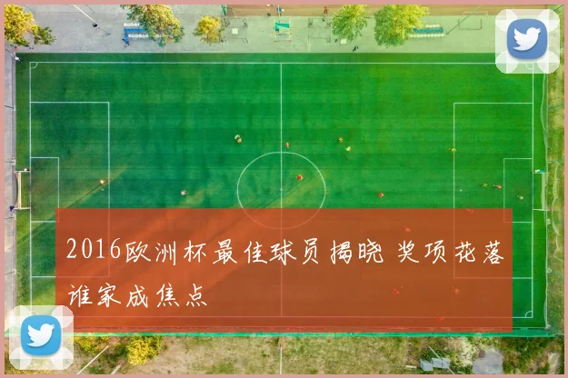 2016欧洲杯最佳球员揭晓 奖项花落谁家成焦点
