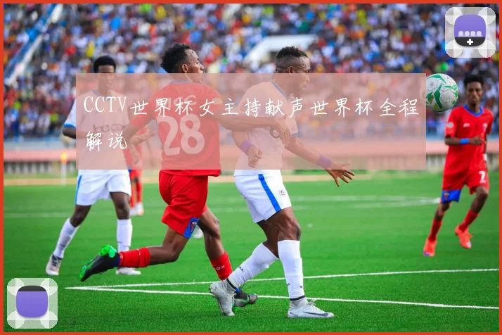 CCTV世界杯女主持献声世界杯全程解说