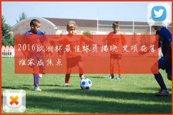 2016欧洲杯最佳球员揭晓 奖项花落谁家成焦点